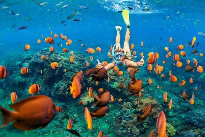 Snorkeling at Snoopy Island