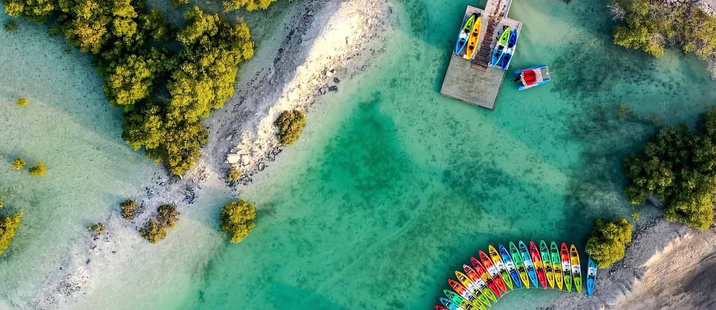 Mangrove Kayaking in Abu Dhabi